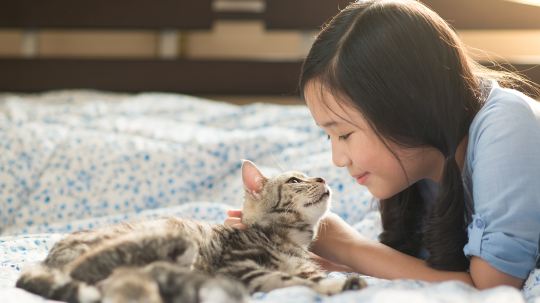 災害時も安心！ご家族を守る備え